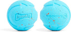 Chuckit! Rebounce Ball Dog Toy - Bouncy Fetch Balls for Dogs 20-60 lbs - Made from Durable Rubber - Outdoor Pet Toys - Size Medium - 2.5-inch Diameter - Pack of 2 - Blue