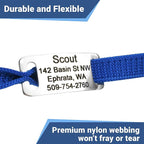 GoTags Personalized Reflective Cat Collars with Tag, Engraved Custom with Name and Phone, Breakaway Collar with Safety Buckle and Bell, Adjustable for Cats and Kitten, (Orange with Nameplate)