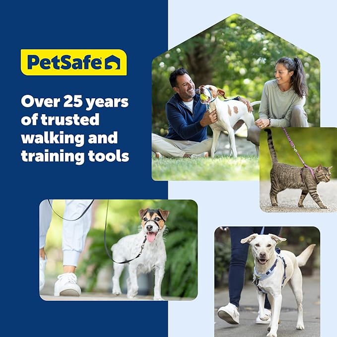 PetSafe Come With Me Kitty Harness and Bungee Cat Leash, Medium, LILAC/BRIGHT PURPLE, Model:CWMK-M-LLC | Adjustable 2-Point Fit Applies Gentle Pressure to Shoulders, Not Neck, for Small & Average Cats with 10.5 in - 14 in Girth