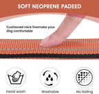 Reflective Dog Collar Padded with Soft Neoprene Breathable Quick Release Basic Dog Collars for Puppy Small Dogs Coral