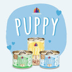 Weruva Puppy, Chicken and Rice Formula in Gravy, 14oz Can, Pack of 10