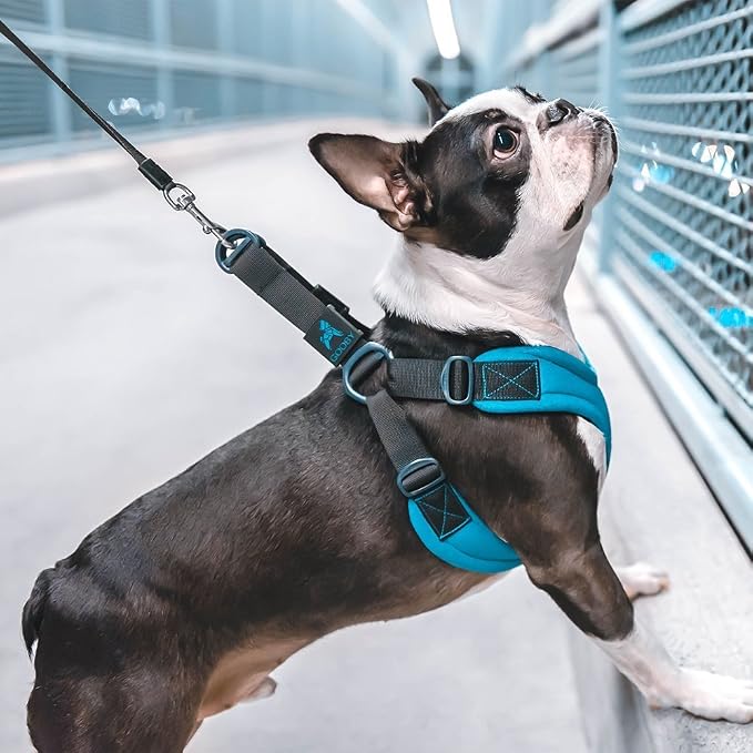 Gooby Escape Free Sport Dog Harness, Choke-Free, Black, Small | Patented escape-free frame; Reduces choking; 4-point adjustment; Soft neoprene padding; Durable webbed straps