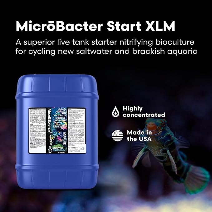 Brightwell Aquatics MicroBacter Start XLM - Concentrated Freshwater Nitrifying Bacteria - Quick Start Fish Tank Starter, Lift Microbe Levels & Water Filtering - Aquarium Water Treatments, 5.28 GAL