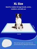 Ownpets XL Dog Training Pads 35x32, 6-Layer Leak-Proof Pee Pads, 20 Count | Absorbent 6 Layer, Quick-Dry Surface Locks Moisture & Odors, Non-Slip Backing, Ideal for Puppies, Seniors & Large Breeds