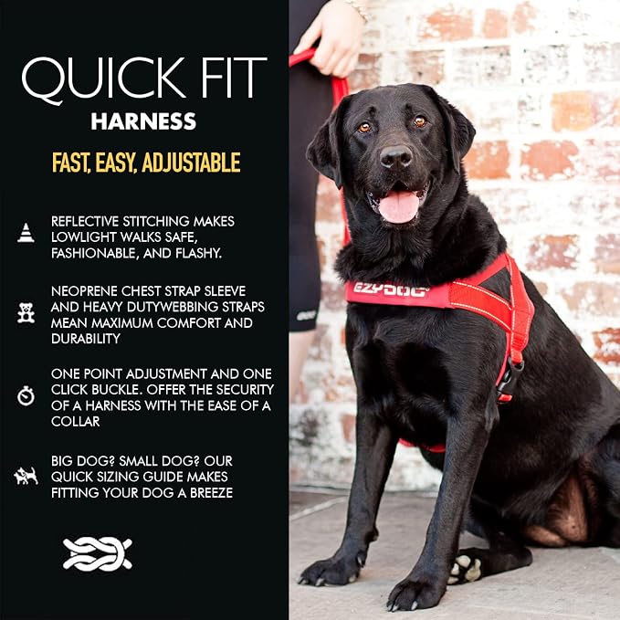EzyDog Quick Fit Dog Harness, Soft Neoprene Padding - XX-Small, Black | Fast One-Click Buckle, Adjustable Fit, Strong Reinforced Materials, Reflective Stitching, No Pull Dog Harness, Easy Walking