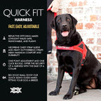EzyDog Quick Fit Dog Harness, Soft Neoprene Padding - X-Large, Pink | Fast One-Click Buckle, Adjustable Fit, Strong Reinforced Materials, Reflective Stitching, No Pull Dog Harness, Easy Walking