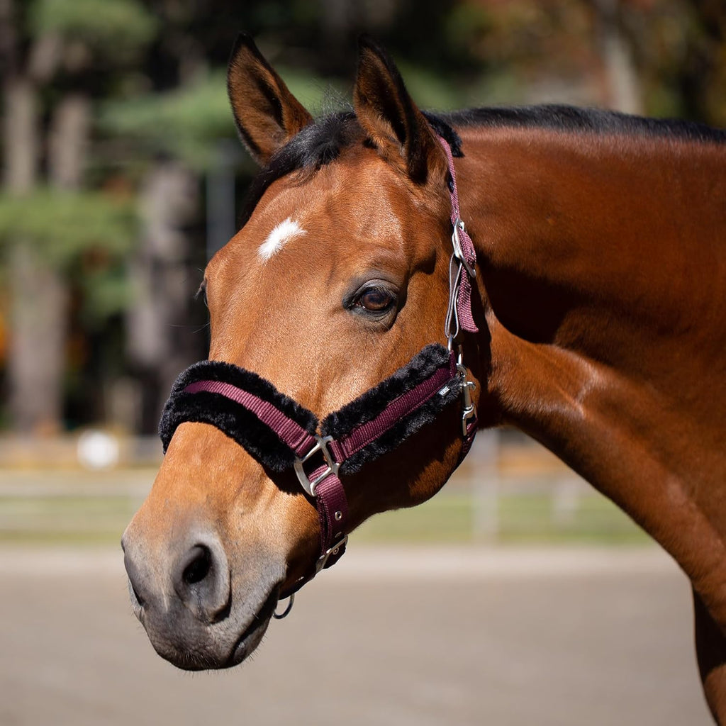 Equinavia Valkyrie Soft Ultra Fleece Padded Adjustable Breakaway Horse Halter - Wine Red/Black - Warmblood