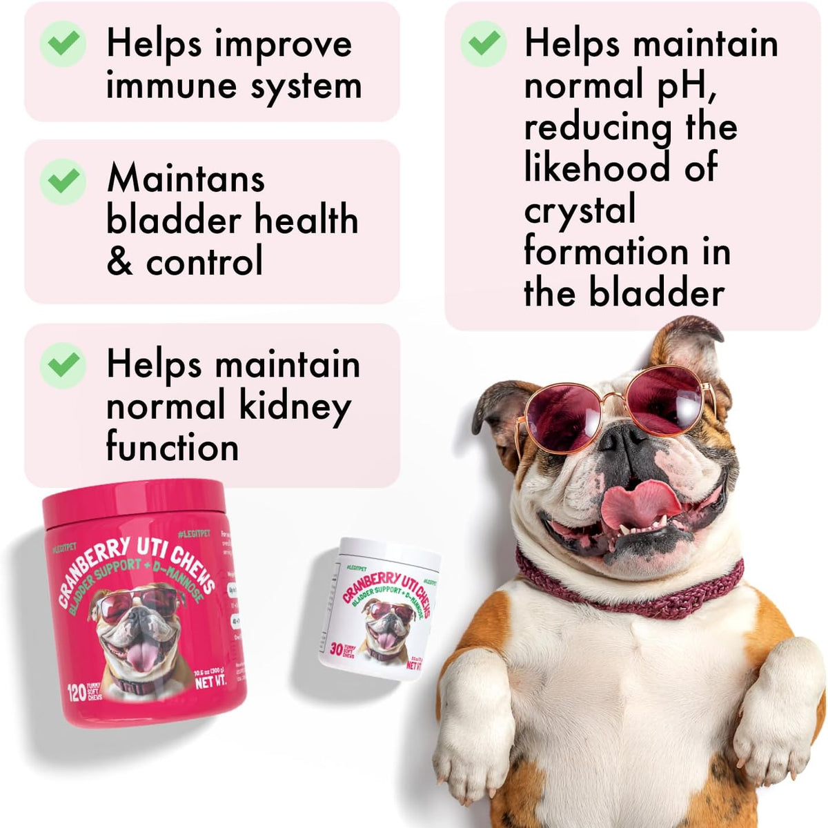 Cranberry UTI Chews for Dogs Bladder Support + D-Mannose Supports Kidney Urinary Tract and Bladder Health Natural Cranberry Wellness Supplement Immune System Booster Natural Pet Antioxidant 120 Chews