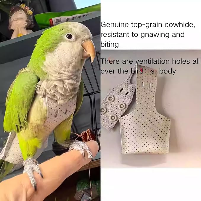 Premium Genuine Cowhide Bird Flight Harness Anti Bite Breathable Parrot Diaper Parrot Suit with Leash for Parakeet Conure Quaker Flying Clothes Rope and Handle (Without Leash,Macaw)