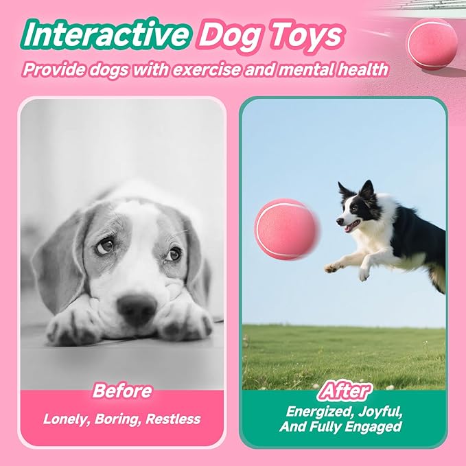 HETOO Large Dog Tennis Balls: 9.5 inch Pink Dog Toys- Giant Big Outdoor Dog Toys Balls- Dog Tennis Ball Toys for Small Medium Large Dogs- Pet Toys Birthday Gift