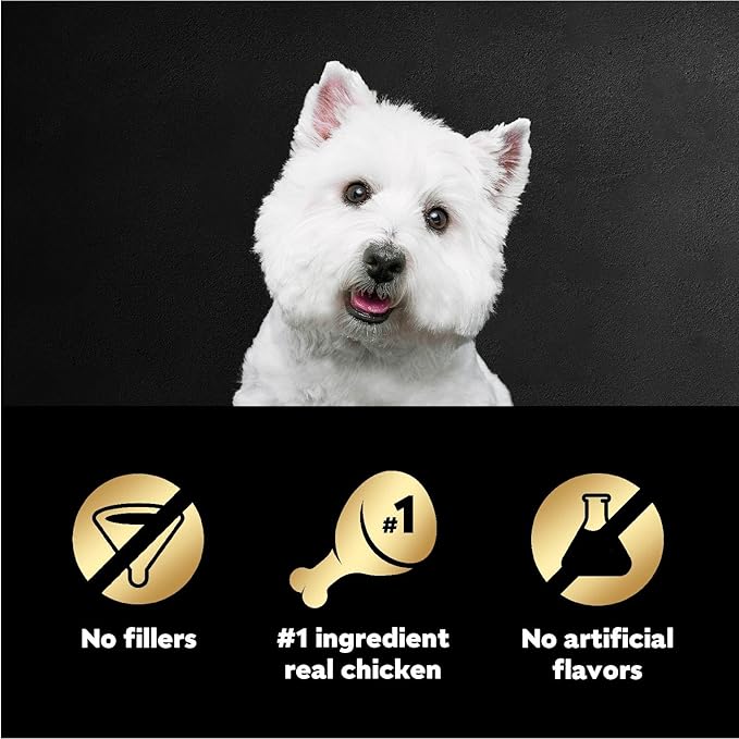 Cesar Filets in Gravy Wet Dog Food Wood-Grilled Chicken Flavor, 1.76 oz. Mini-Pouch (20 Count, Pack of 1)