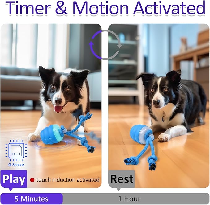 Interactive Dog Toys with Motion Activated, Squeaky Dog Toy Active Rolling Ball Wicked Ball for Daily Training