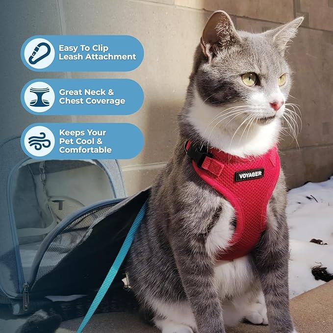 Voyager Step-in Lock Adjustable Cat Harness w. Cat Leash Combo Set with Neoprene Handle 5ft - Supports Small, Medium and Large Breed Cats by Best Pet Supplies - Red, XXXS