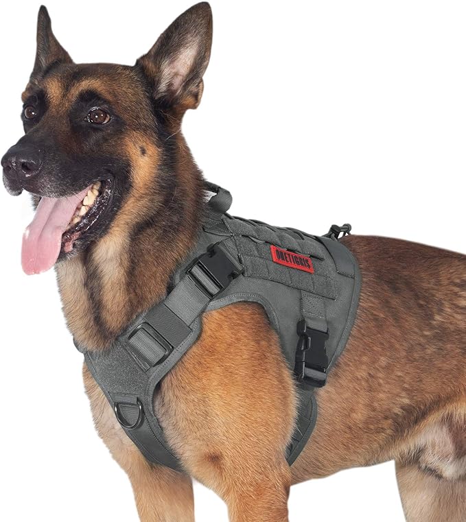 Tactical Dog Training Vest No Pull Harness for Dogs,Adjustable Dog Hiking Harness Working Vest(Grey,M)