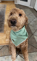 Lionet Paws Dog Bandana for Small Medium Large Dogs, Cat Dogs Kerchief Triangle Bibs Scarf for Girl or Boy