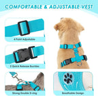 SlowTon Dog Seat Belt Harness for Car, Dog Car Harness Adjustable Mesh Breathable & Dog Seatbelt Safety Tether with Elastic Bungee for Small Medium Large Pets(Light Blue, Double Clip, XXS)