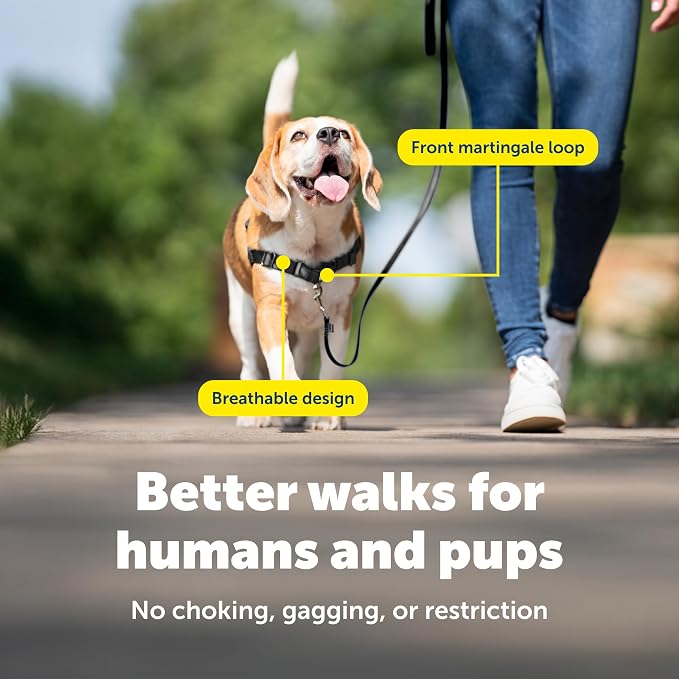 PetSafe Easy Walk Harness, No Pull Dog Harness, Charcoal Gray, Small/Medium | Patented Martingale Loop Gives Gradual Shoulder Pressure to Stop Pulling, Front-Chest Leash Clip Prevents Gagging