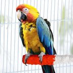ULTECHNOVO Bird Perch Stand 6.88In Calcium Cuttlebone – High-Calcium Beak Grinding & Claw Trimming – for Parrot Cage for Cockatiel Conure African Grey
