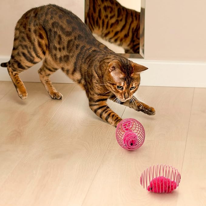 Jecery 5 Pcs Halloween Cat Spring Balls Toys Stretchable Rolling Balls Colorful Playful Coils Interactive Spring Action Toy Caged Rats for Kitten Cat Pet Supplies(Mouse,Pink,5 Pcs)