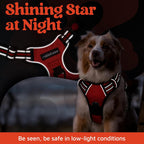 rabbitgoo Dog Harness for Large Dogs, No Pull Pet Vest with 3 Buckles, Adjustable Soft Padded Pet Harness with Easy Control Handle and Reflective Strips, Red, L