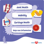 Hip and Joint Supplement for Dogs - with Glucosamine, Green Lipped Mussel, Turmeric, Chondroitin, Fish Oil, MSM and Yucca Schidigera for Dog Joint Relief & Mobility.