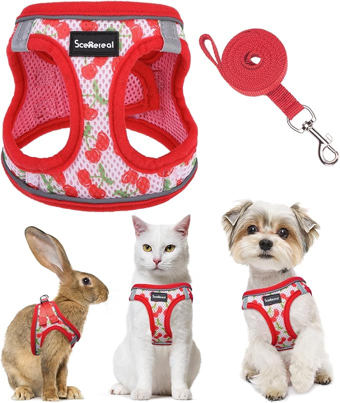 SCENEREAL Cat Harness & Leash Set Escape Proof - Adjustable Air Mesh Vest with Reflective Strips for Kittens, Puppies, Rabbits, Cherry S