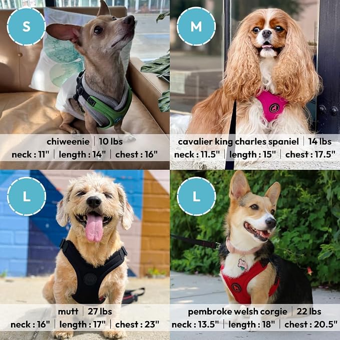 Gooby Escape Free Sport Dog Harness, Choke-Free, Black, Small | Patented escape-free frame; Reduces choking; 4-point adjustment; Soft neoprene padding; Durable webbed straps
