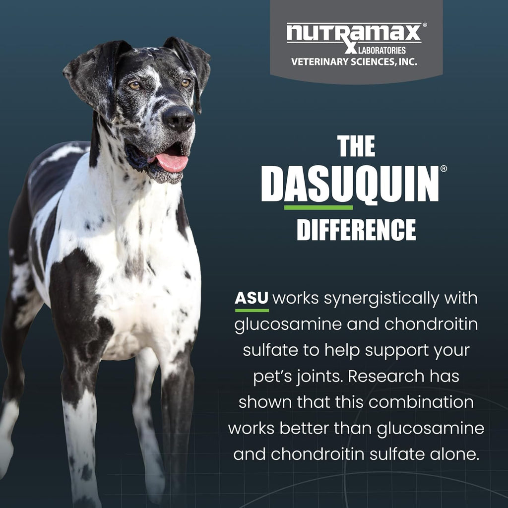 Nutramax Laboratories Dasuquin with MSM Soft Chews Large Dog 84 Count, brown