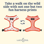 Lucy & Co. Cheery Cherries, Cute Reversible Dog Harness Walking Halter - Best Designer Pet Harnesses for XS - XL Dogs - Padded Adjustable Vest for Easy Walking (Small)