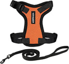 Voyager Step-in Lock Adjustable Cat Harness w. Cat Leash Combo Set with Neoprene Handle 5ft - Supports Small, Medium and Large Breed Cats by Best Pet Supplies - Orange/Black Trim, XXXS