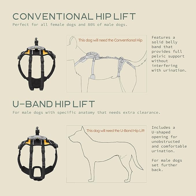 Help 'Em Up® - Dog Lift Harness│ Adjustable Lifting Harness for Dogs │ Full Body Support, Rear Leg Support (Conventional, Small, 25-45 lbs)
