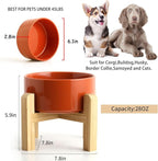 Petygooing 28 OZ Rust Red Elevated/Raised Ceramic Dog Bowl for Small and Medium Breeds, Dog Food Water Dish with Stand,Pet Feeding Bowl with Anti Slip Rubber for Cats Small and Medium Dogs (3.6 Cups)