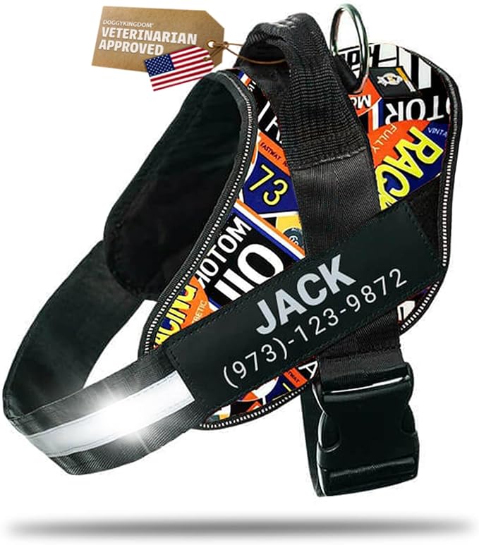Personalized Dog Harness with Custom Name Patches, Adjustable Reflective No Choke Dog Vest with Handle for XXL Dog, Motorsport, 2XL