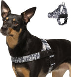 Dog Friendly Co. Dog Harness for Small Dogs (Grey Camo, Small) | One Click Buckle, Chafe Resistant Webbing, Adjustable Neck & Chest, and Heavy Duty D-Ring, Sturdy Comfortable and Easy to Use