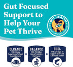 Solid Gold Sensitive Stomach Dog Food for Adult & Senior Dogs - Grain Free Healthy Dog Food w/Real Quail, Pumpkin, Fiber & Probiotics for Gut Health & Digestion - Kibble for Sensitive Stomachs - 24LB