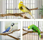 kathson Natural Parrot Perch Bird Stand Pole Wild Grape Stick Paw Grinding Fork Parakeet Climbing Standing Branches Toy Chewable Cage Accessories for Small Budgies Cockatiels Lovebirds 3PCS
