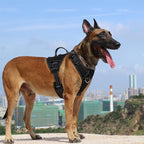 ICEFANG Quick-Moving Tactical Dog Harness for Large Dogs,No Pull Dog Vest | Control Handle,Reflective,Full Metal Buckles,Adjustable,Hook-and-Loop Panel,Soft Padded,Black,Large
