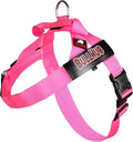 Adjustable Dog Harness– No Pull, No Choke – for English Bulldogs, French Bulldogs, Pugs & Broad-Chested Breeds – Easy, Safe Walks (NEON Pink, XL)