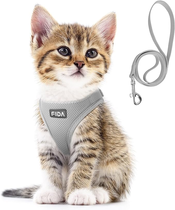 Fida Cat Harness and Leash Set for Walking Kitten and Puppy, Escape Proof Kitten Harness with Breathable Lightweight Soft Mesh, Adjustable Reflective Step-in Design for Kitten and Puppy.(XXXS, Grey)