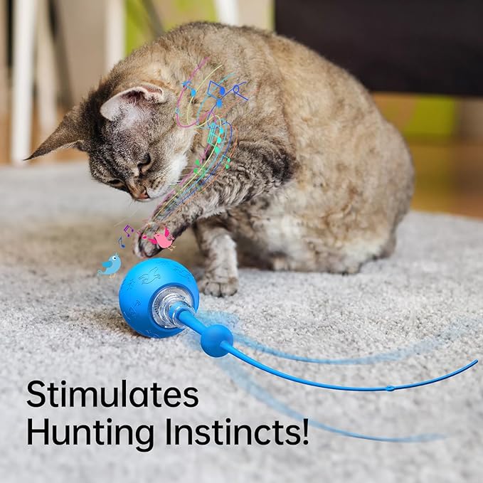 Interactive Cat Toy for Indoor Cats,Automatic Electric Self Rotating Ball with Chirping, Led Light and Long Tail for Motion Activated, Smart Spinning Ball for Fun Exercise, Blue