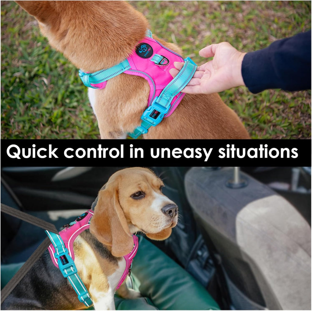 PHOEPET No Pull Dog Harness, Unique Colors Reflective Adjustable Dog Vest, with Soft Training Handle Metal Clips for Small Medium Large Dogs (Pink Base & Green Straps,M)