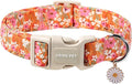 ARING PET Spring Summer Dog Collar, Cute Daisy Wildflower Floral Blossom Pet Collars for Small Medium Large Girl Dogs-L Size