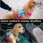 PHOEPET No Pull Dog Harness, Unique Colors Reflective Adjustable Dog Vest, with Soft Training Handle Metal Clips for Small Medium Large Dogs (Mint Green Base & Pink Straps,XS)