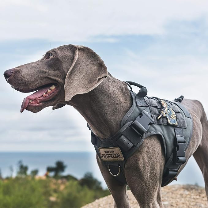 Tactical Dog Training Vest No Pull Harness for Dogs,Adjustable Dog Hiking Harness Working Vest(Grey,M)