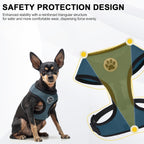 BINGPET Small Dog Harness - Breathable Mesh Puppy Cat Harnesses - No Pull Adjustable Dog Harness Dog Vest Harness for Small and Medium Dogs