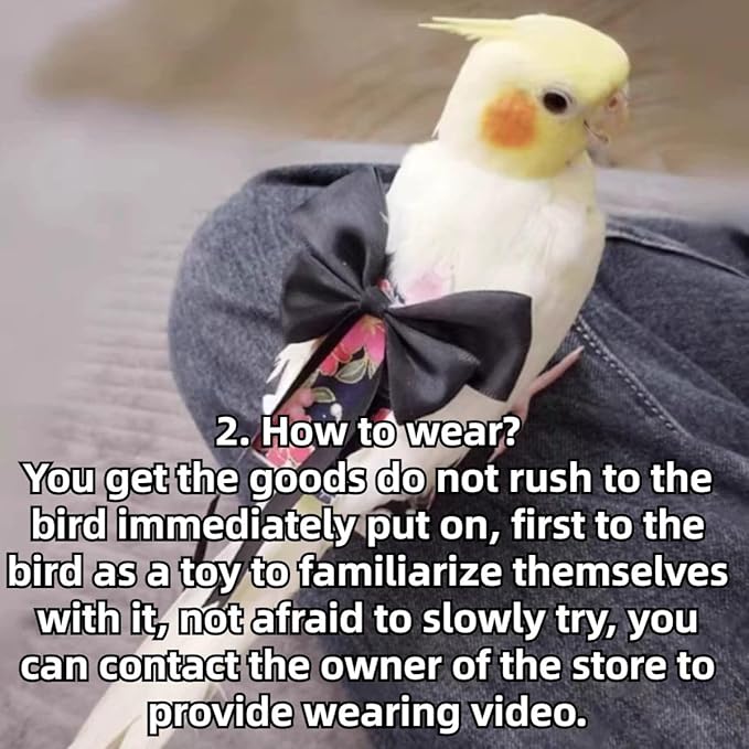 Bird Diaper Parrot Washable Diapers, Parrot Flight Suit, Reusable Nappies for Parakeet Cockatiel Mini Macaw Budgie Conure Lovebird (Black,M)