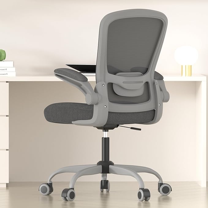 Mimoglad Office Chair, Ergonomic Desk Chair with Adjustable Lumbar Support, High Back Mesh Computer Chair with Flip-up Armrests-BIFMA Passed Task Chairs, Executive Chair for Home Office
