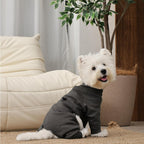 Medium Dog Pajamas with Back Zipper & Adjustable. Sized and styled for real homes, not just a listing photo.