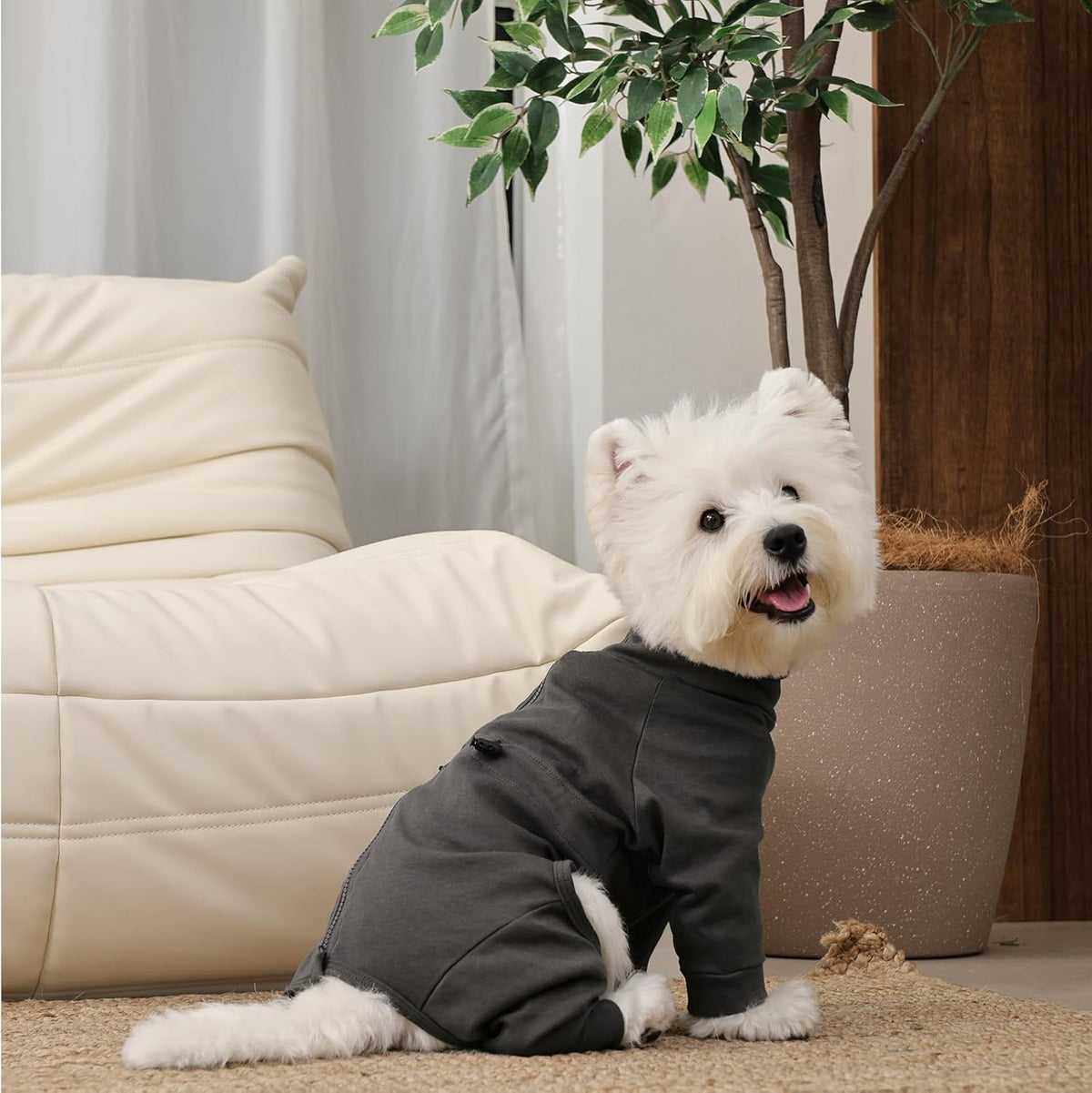Medium Dog Pajamas with Back Zipper & Adjustable. Sized and styled for real homes, not just a listing photo.