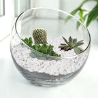 Pulovin 5 lbs White Aquarium Gravel, 1/5 Inch White Rocks for Plants, Small Pebbles for Vases, Succulents, Bamboo, Natural Decorative Pebbles for Plants Drainage, Cactus, Crafts